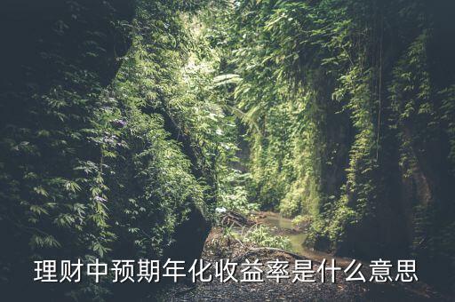 理財中預期年化收益率是什么意思