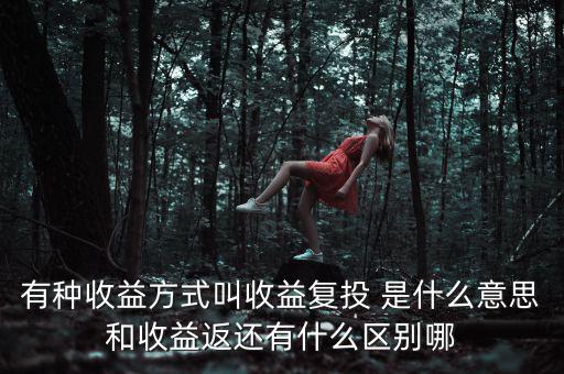 按月復投是什么意思，本息復投是什么意思