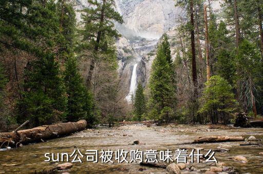 sun公司被收購意味著什么