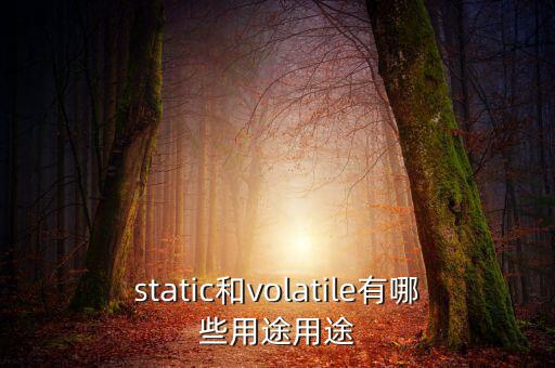 vtm有什么用，static和volatile有哪些用途用途