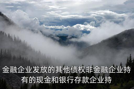 金融企業(yè)發(fā)放的其他債權(quán)非金融企業(yè)持有的現(xiàn)金和銀行存款企業(yè)持