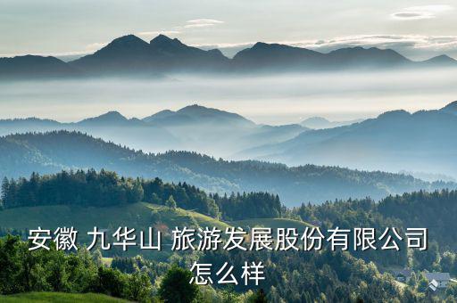 安徽 九華山 旅游發(fā)展股份有限公司怎么樣