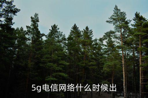 5g電信網(wǎng)絡(luò)什么時候出