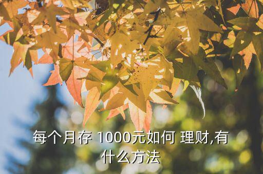 每個(gè)月存 1000元如何 理財(cái),有什么方法