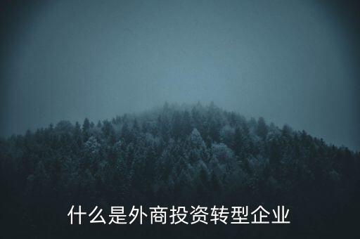 什么是外商投資轉(zhuǎn)型企業(yè)