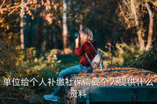 單位給個(gè)人補(bǔ)繳社保需要個(gè)人提供什么資料