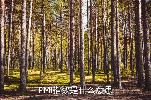 PMI指數(shù)是什么意思