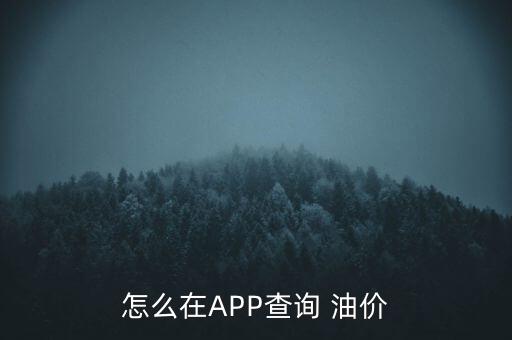 怎么在APP查詢 油價(jià)