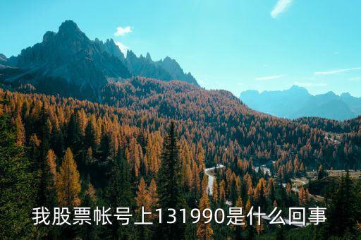 131990標(biāo)準(zhǔn)券是什么，本來輸入代碼131810結(jié)果成交以后卻是131990標(biāo)準(zhǔn)券盈虧比例