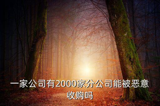 初靈信息為什么要并購，一家公司有2000家分公司能被惡意收購嗎