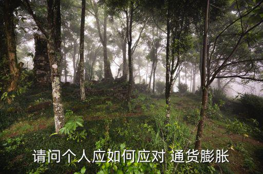 請(qǐng)問(wèn)個(gè)人應(yīng)如何應(yīng)對(duì) 通貨膨脹