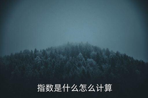  指數(shù)是什么怎么計算