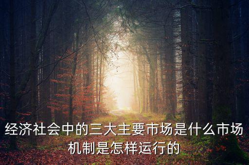 經(jīng)濟(jì)社會中的三大主要市場是什么市場機(jī)制是怎樣運(yùn)行的