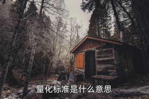 量化標準是什么意思