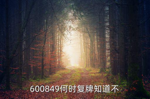 儀電b股什么時(shí)候復(fù)牌，600849何時(shí)復(fù)牌知道不