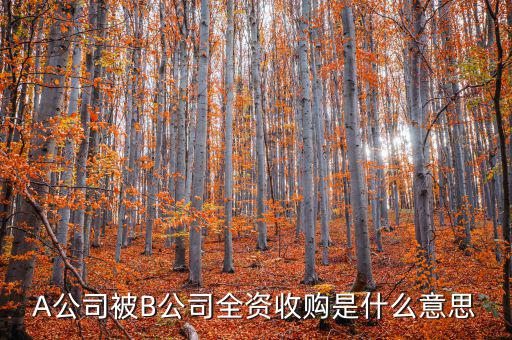 A公司被B公司全資收購(gòu)是什么意思