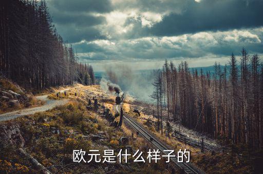500面值似的歐元是什么樣的，500歐元是什么樣子的價值人民幣是多少大神們幫幫忙
