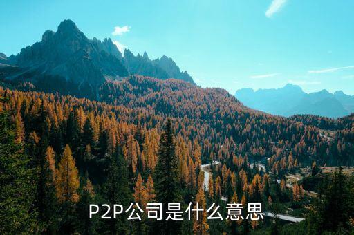 P2P公司是什么意思