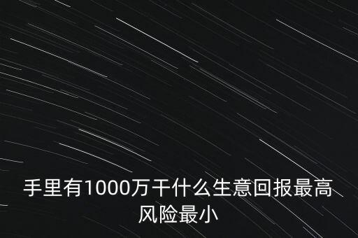 1000萬投資什么生意，手里有1000萬干什么生意回報最高風(fēng)險最小