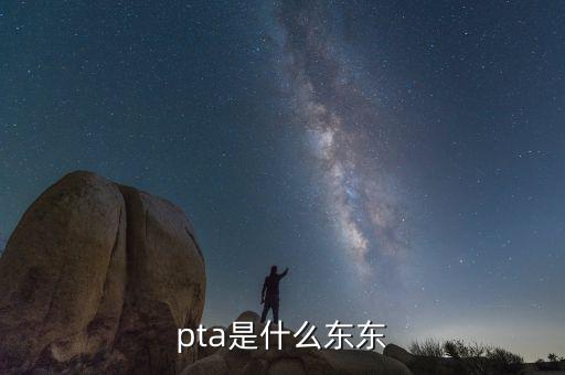 pta行業(yè)是什么，pta是什么東東