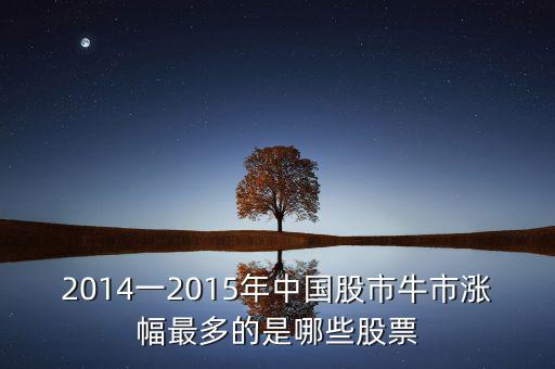 2014一2015年中國(guó)股市牛市漲幅最多的是哪些股票