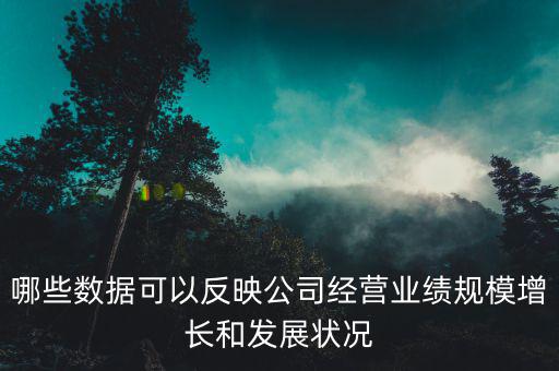 哪些數(shù)據(jù)可以反映公司經(jīng)營(yíng)業(yè)績(jī)規(guī)模增長(zhǎng)和發(fā)展?fàn)顩r