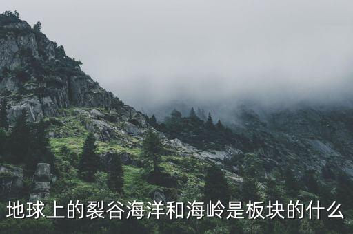 誠(chéng)益通屬于什么板塊，地球上的裂谷海洋和海嶺是板塊的什么