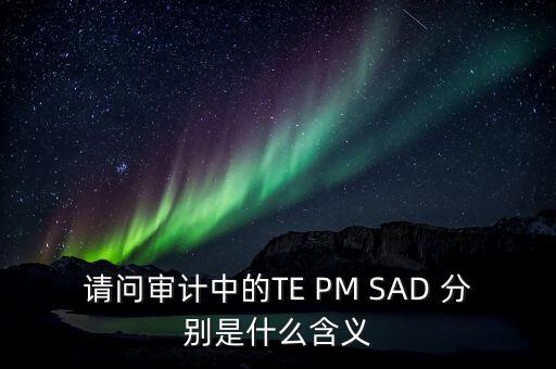 請問審計中的TE PM SAD 分別是什么含義