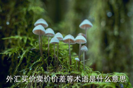外匯買(mǎi)價(jià)賣(mài)價(jià)價(jià)差等術(shù)語(yǔ)是什么意思