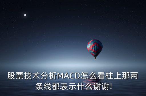 股票技術(shù)分析MACD怎么看柱上那兩 條線(xiàn)都表示什么謝謝!