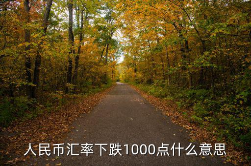 人民幣匯率下跌1000點(diǎn)什么意思