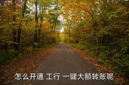 怎么開通 工行 一鍵大額轉賬呢