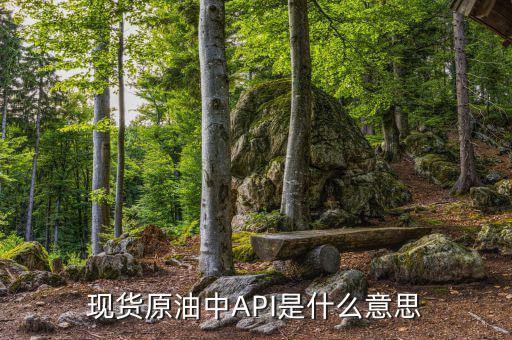 API原油庫(kù)存利多什么意思，現(xiàn)貨原油中API是什么意思