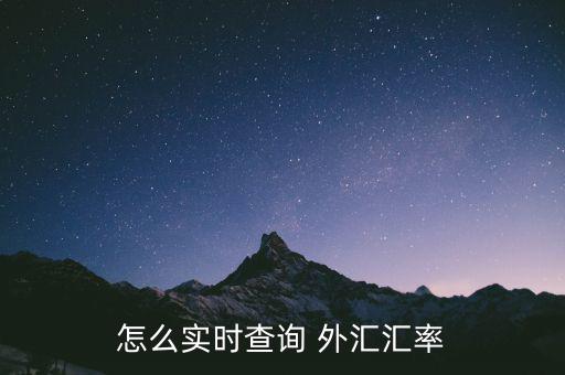 怎么實(shí)時查詢 外匯匯率