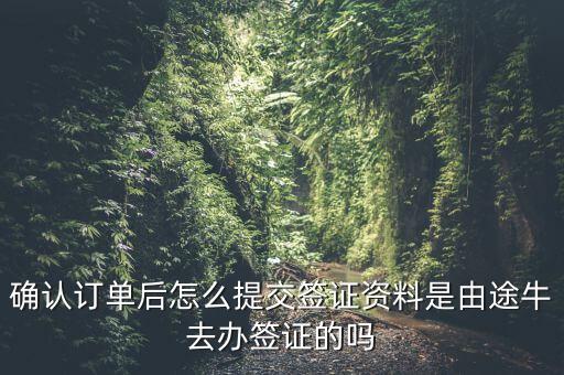 為什么途牛金服資料提交不了，申請途牛額度的資料怎么填寫我填的都是真的也很全啊但是一提