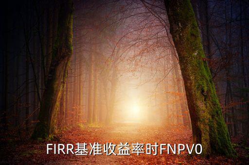 收益率什么時(shí)候?yàn)檎?，F(xiàn)IRR基準(zhǔn)收益率時(shí)FNPV0