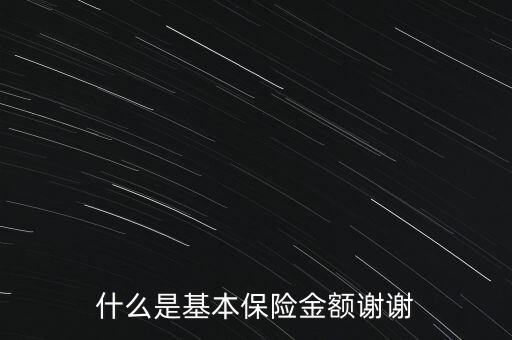 什么是基本保險(xiǎn)金額謝謝