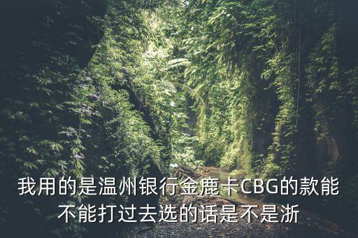 我用的是溫州銀行金鹿卡CBG的款能不能打過(guò)去選的話是不是浙