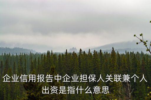 擔保人關聯(lián)是什么意思，企業(yè)征信中 擔保人關聯(lián)是什么意思