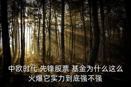 中歐時(shí)代 先鋒股票 基金為什么這么火爆它實(shí)力到底強(qiáng)不強(qiáng)