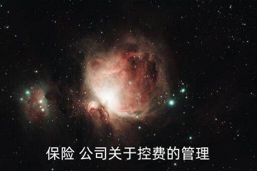 海虹控股公司怎么樣,醫(yī)療it公司才剛開始推進(jìn)醫(yī)保控費(fèi)系統(tǒng)