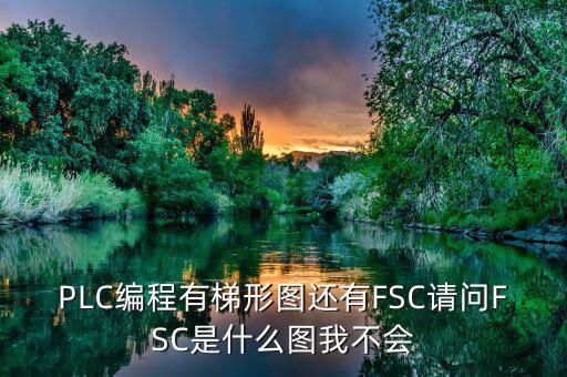 PLC編程有梯形圖還有FSC請(qǐng)問(wèn)FSC是什么圖我不會(huì)