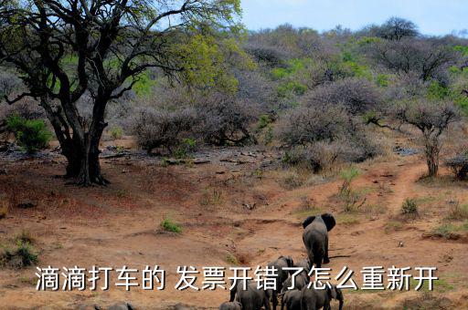  滴滴打車的 發(fā)票開錯了怎么重新開