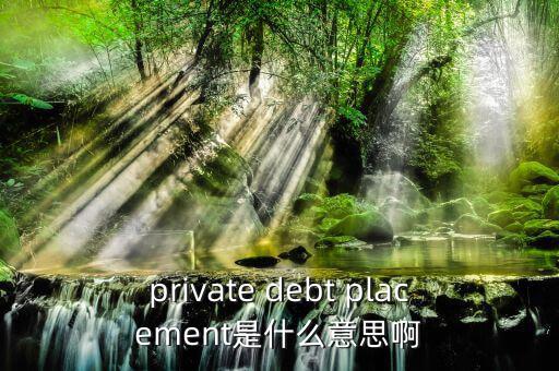 private debt placement是什么意思啊