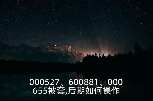 000527、600881、000655被套,后期如何操作