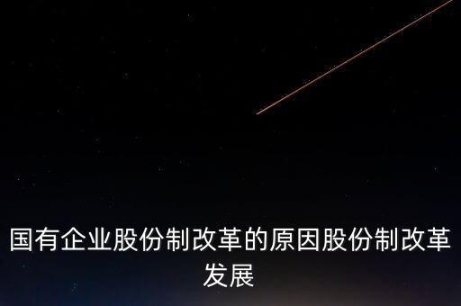 國(guó)有企業(yè)股份制改革的原因股份制改革發(fā)展