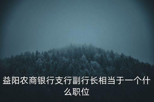 益陽(yáng)農(nóng)商銀行支行副行長(zhǎng)相當(dāng)于一個(gè)什么職位