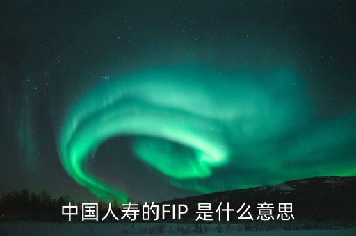 規(guī)模保費是什么意思，中國人壽的FIP 是什么意思