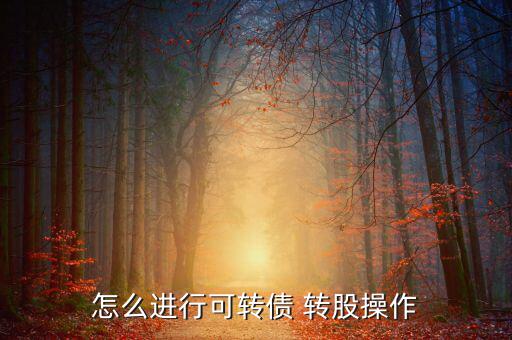 南山轉(zhuǎn)股怎么轉(zhuǎn),可轉(zhuǎn)債轉(zhuǎn)股交易日到達(dá)指定用戶交易賬戶