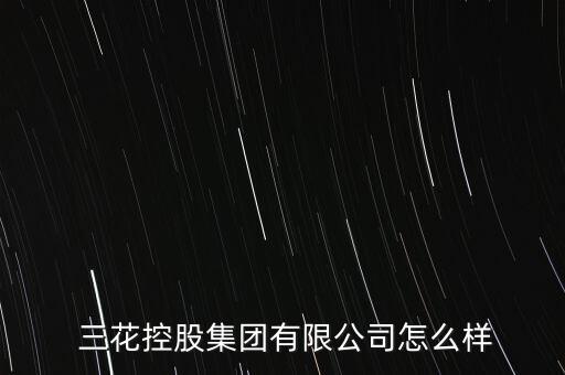  三花控股集團有限公司怎么樣